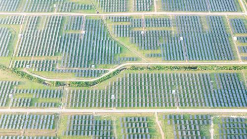 A field of solar panels