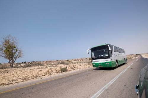 عملية السلام في ليبيا: ما الذي يهمّ منطقة المغرب بعد عشر سنوات على الإطاحة بالقذّافي